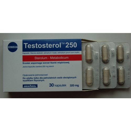Testosterol 250 - megabit • Protein.cz
