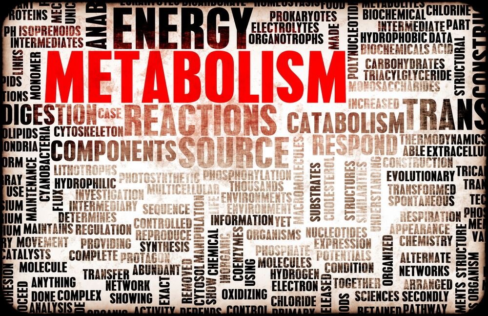 Spalujte kalorie efektivněji. Jak zrychlit metabolismus?