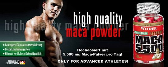 Reklamny baner maca Weider