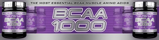Reklamny baner bcaa 1000 Scitec