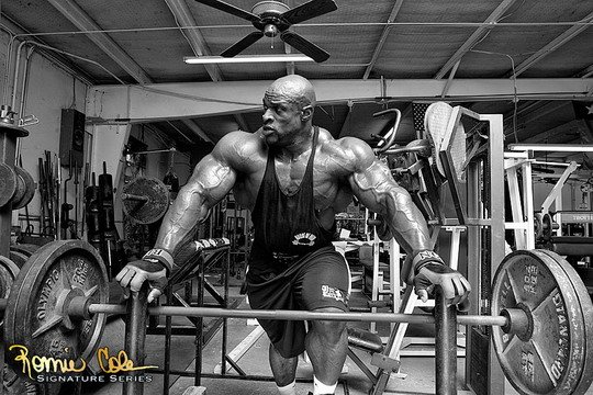 Pro-Antium - Ronnie Coleman: