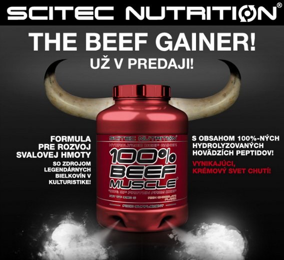 reklamní baner beef muscle scitec
