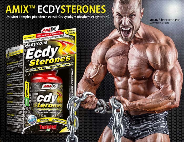 Reklamní baner Amix Ecdy Sterones